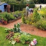 Gardening raised beds